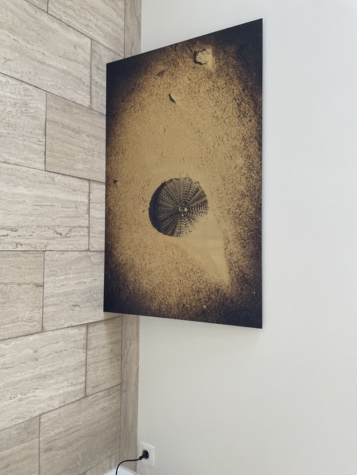 Photo on Frame - Photographer An Geyselinck