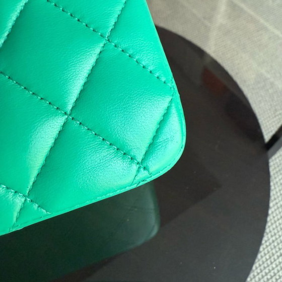 Image 1 of Chanel Classic Flap Medium - 25CM Quilted Lambskin Light Green Silver Hardware Series 16