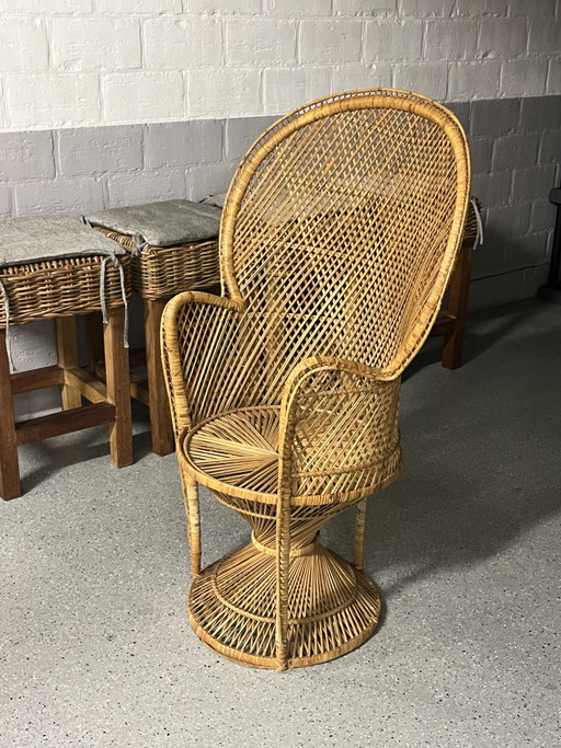 Sedia vintage in rattan a forma di pavone / Stile Rohé Noordwolde / Anni '60-'70 / Sedia a pavone