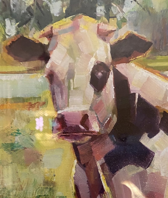 Image 1 of Vache en colère