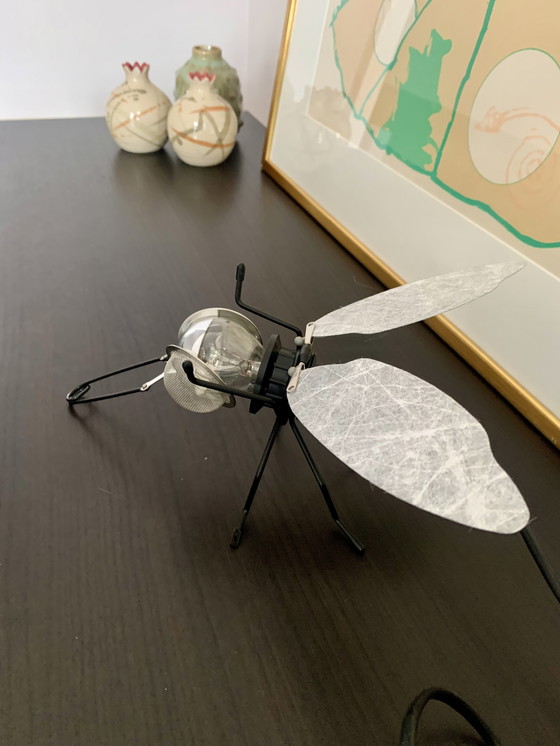 Image 1 of 1x Oligo Mademoiselle Filou