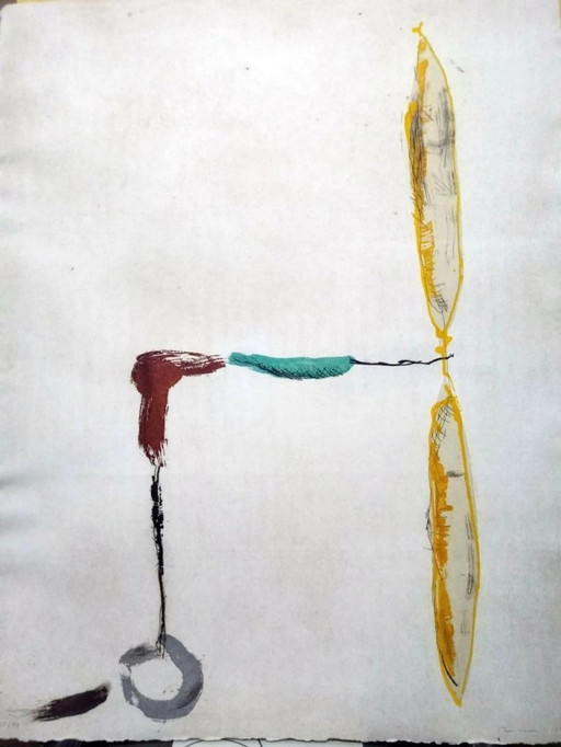 Josep Mª Riera i Aragó - Grabado Firmado y Numerado (95 x 74 cm).