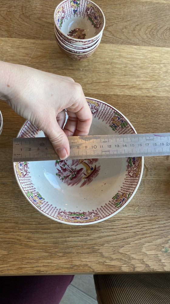 Image 1 of Antiek Petrus Regout en co ‘Fancy’ servies 