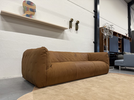 Image 1 of Label Van Den Berg Berry Bank 3 Zits Waterbuffel leer