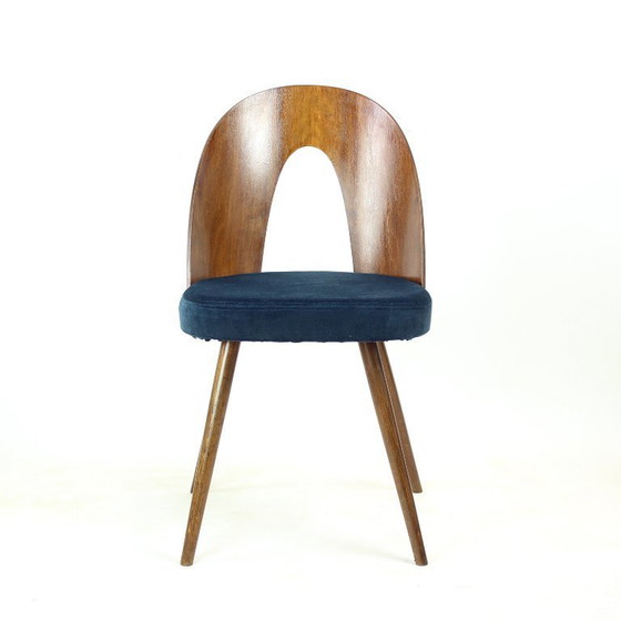 Image 1 of Set Of 6 Iconic Tatra Chairs In Walnut & Velvet By šuman, Nabytok Pravenec 1960s
