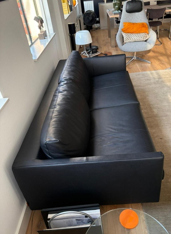 Image 1 of Montis Axel / Divano di design / 3 posti / Pelle / Nero