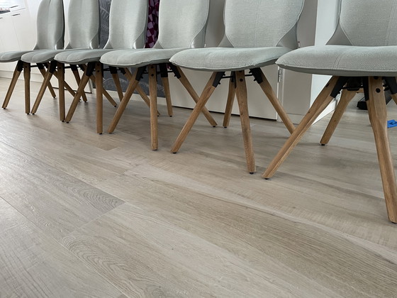 Image 1 of Xooon Esszimmerstühle – 6er-Set – mintgrün