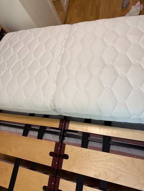 Image 1 of Bagatelle sofa bed