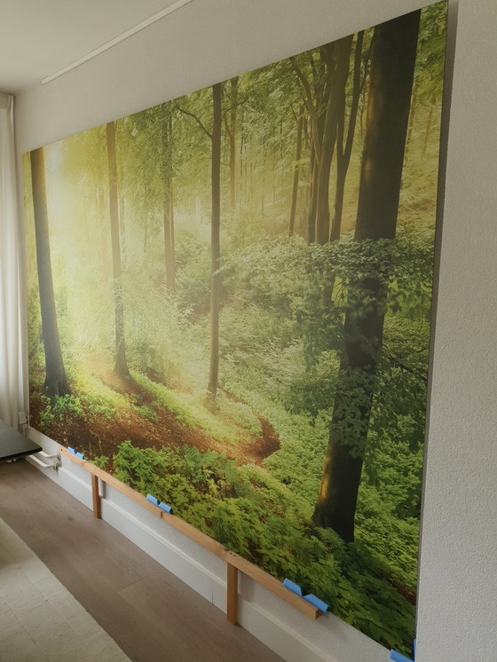 Image 1 of Wall-sized photo of a forest on aluminum 300 x 188 cm