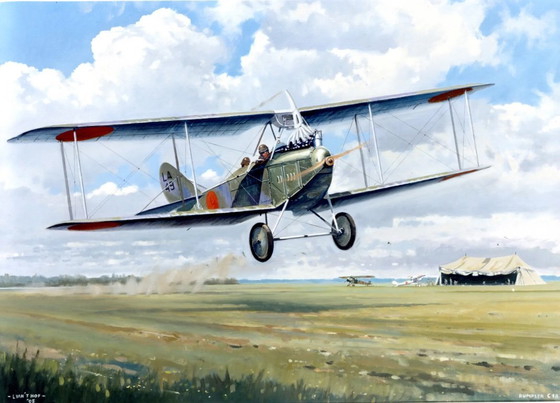 Image 1 of Hélice d'avion en bois Rumpler 1917-1918