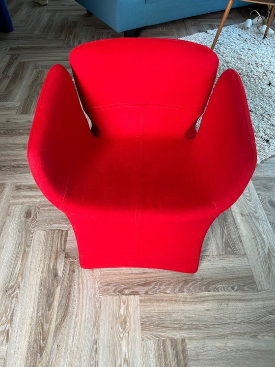 Image 1 of 4x Moroso Bloomy