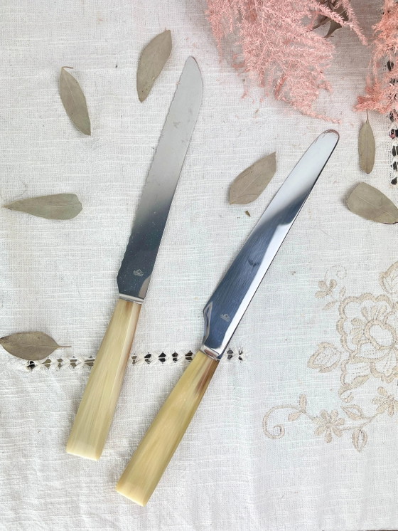 2 coltelli vintage NOGENT in bachelite – Accessori da tavola (photo 2 of 10)