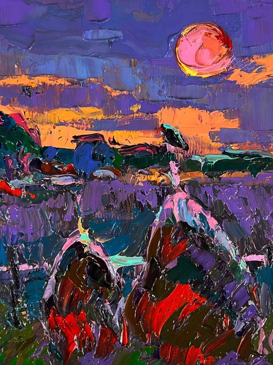 Image 1 of The Moon Illuminates the Field