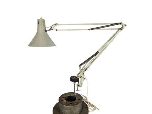 Philips - model NTD 36 - Louis Kalff - desk lamp - architect's lamp - metal - 1966