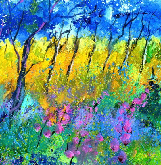 Image 1 of Luce estiva nel bosco