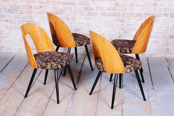 Set of Four Restored Mid-Century Chairs, Beech, Oak, Slovakia, 1950-1959 – Tatra Nábytok, Dining chairs (photo 6 of 11)