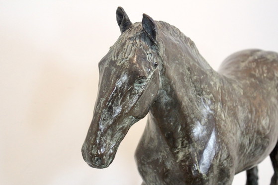Bronze Pferd Bildhauerei von Cocky Duijvesteijn, Metall (Foto 10 von 13)