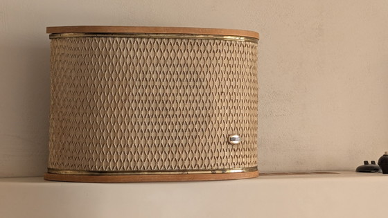 Sistema di altoparlanti per trasmissioni radiofoniche degli anni '50, modificato. – Oggetti decorativi, Metal (photo 4 of 15)
