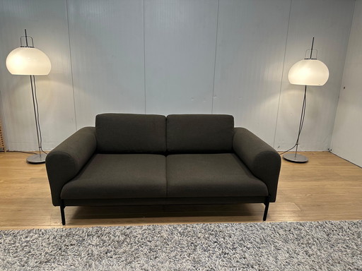 Dark Green Made 2-seater Sofa - Compact & Stylish