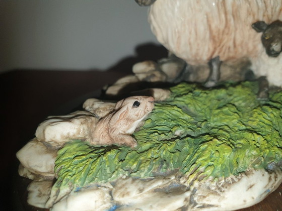 Image 1 of Pecore in campagna