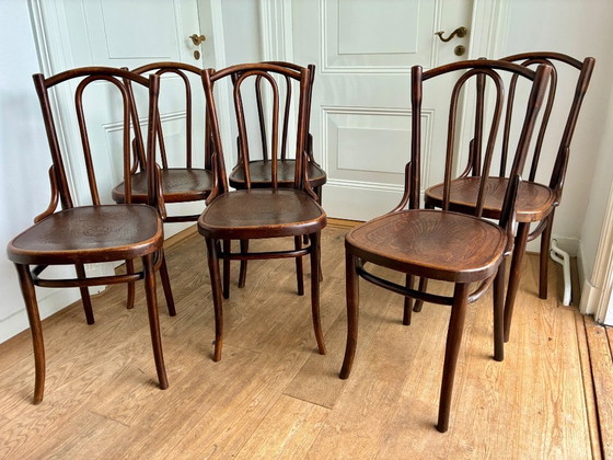 Image 1 of 6 sillas Thonet n.º 56