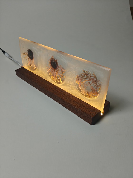 Image 1 of “Fasi di decadimento”
Scultura luminosa con fiori conservati