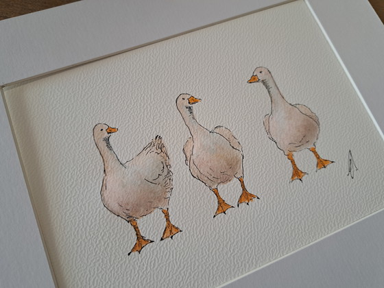 Image 1 of Aquarelle représentant trois oies | Avec cadre