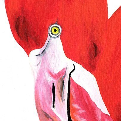 2-panel of flamingos