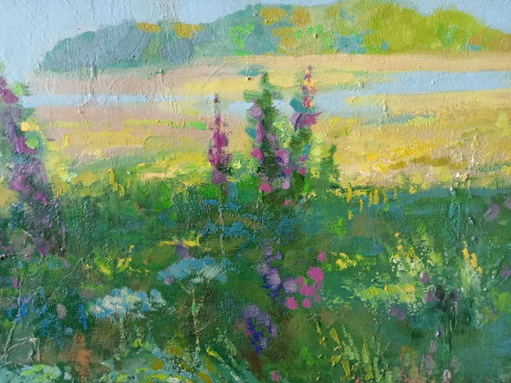 Pittura a olio originale Espressionismo Paesaggio Prato estivo – Dipinti e disegni, Canvas (photo 4 of 9)