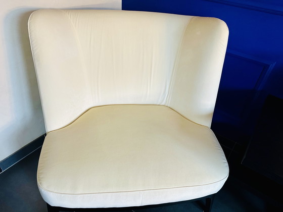 Image 1 of Flexform fauteuil XL DRAGONFLY by Roberto Lazzeroni