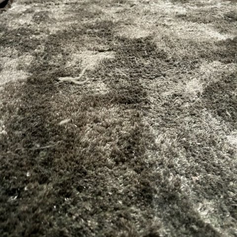 Image 1 of Brinker Carpets Vitero rug - 240x340