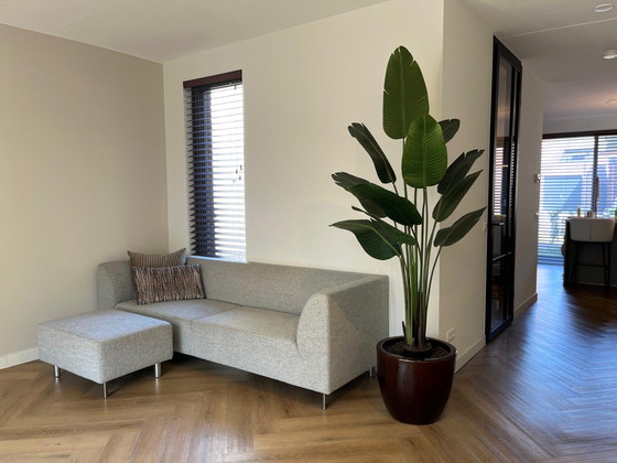 Image 1 of Montis fox 3,5 zits bank inclusief bijbehorende poef