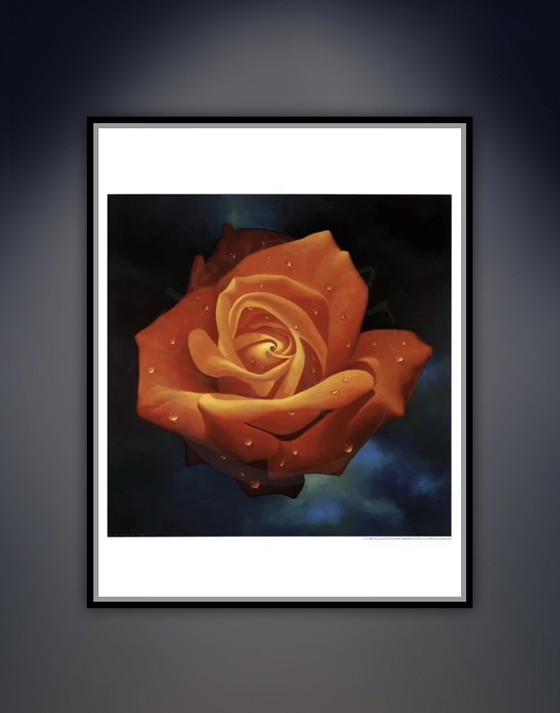 Image 1 of “Orange Rose”.

Signed in the Plate.

Beautiful Colors!