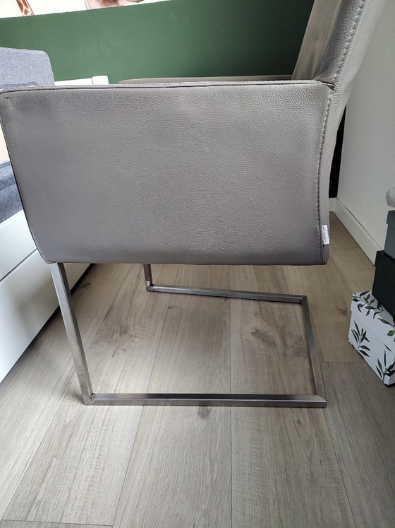 4 X Grijze Bert Plantagie Tidy Stoelen – Eetkamerstoelen, Leather, rvs (photo 6 of 8)