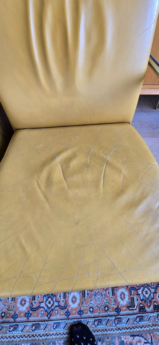 Image 1 of Chaises en cuir Jan des Bouvrie Gelderland 6420