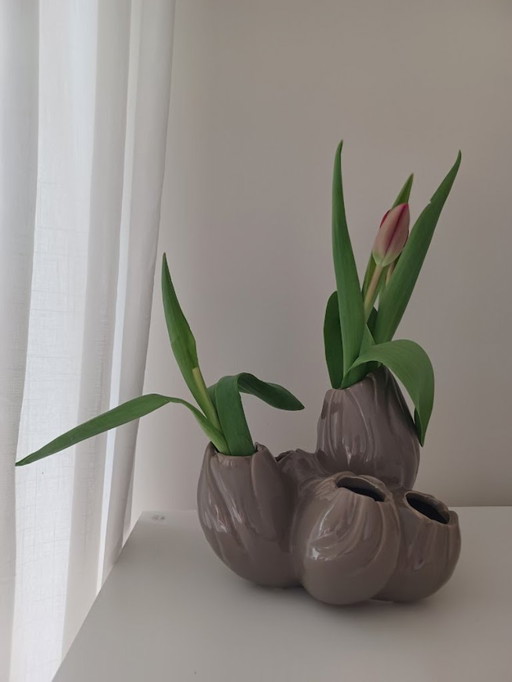 Serax. Maxi flower (tulip) vase, coral. 6 holes. Taupe.