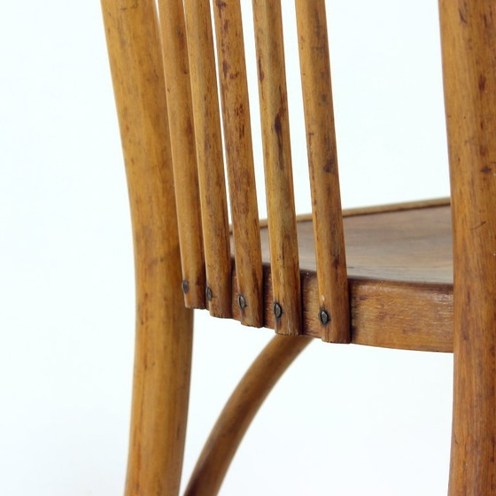 Image 1 of Vintage Thonet Bentwood Oak Chair With Original Label, Czechoslovakia, 1920s
