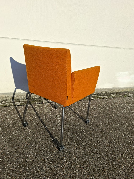 Image 1 of 6 Artifort Paco chairs, various colors