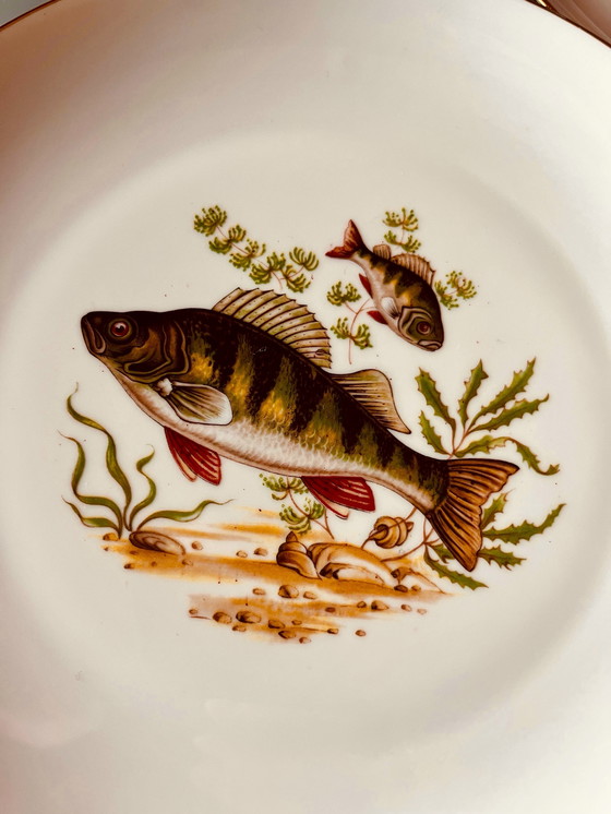 Image 1 of Ensemble de 6 assiettes à poissons d'eau douce de Limoges