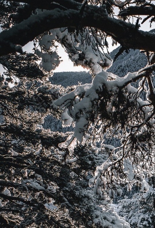 Mountain Scenery Photography / FullColor / Professional Print