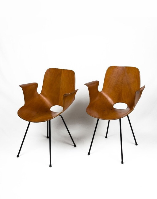 2x Vintage bentwood Medea Chair by Vittorio Nobili, Italy 1950s