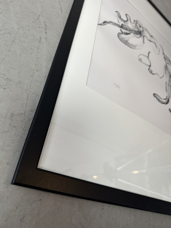 Image 1 of Genummerde zeefdruk - Frits Vertongen - Gesigneerd