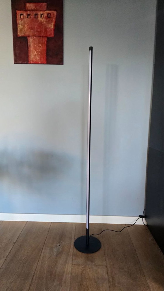 Image 1 of Lampada da terra Neona Selene - Nera - Solo 2 mesi di vita (fattura inclusa)