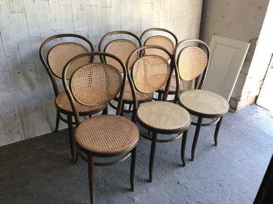 Dining Chairs in Wood Cane, Germany, 1960s, Set of 6 – Mid Century Modern (photo 5 of 8)