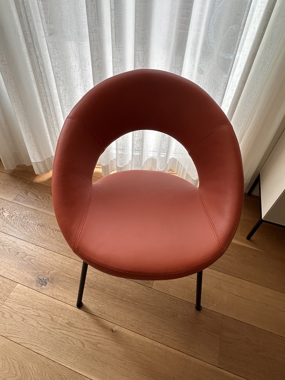 Image 1 of 4 sedie Artifort Nina