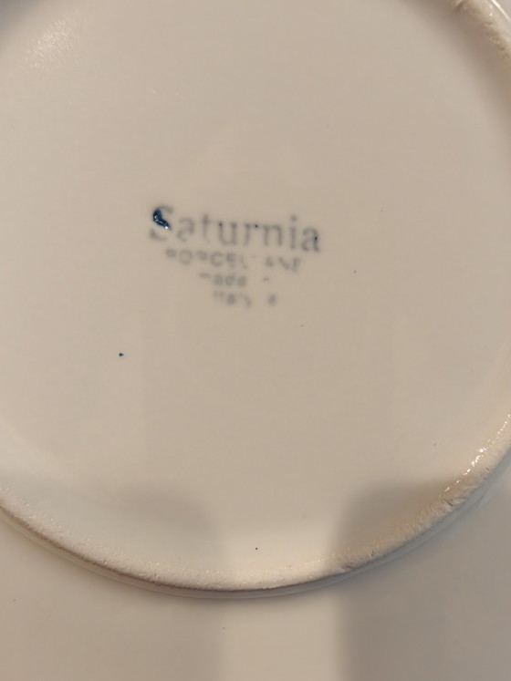 2 piatti decorati a mano con motivo Saturnia, 30,5 cm – Decorazioni murali, Porcelain (photo 4 of 7)