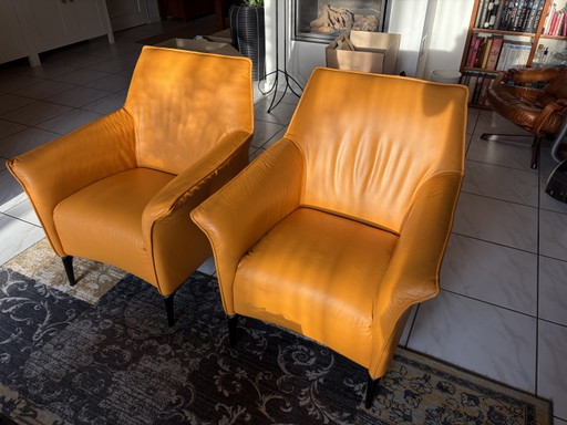 Leolux Mayuro 2x – fauteuils, Leather, Metal