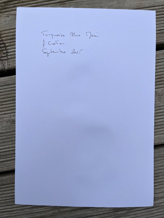 Image 1 of Turquoise Oost-Indische inkt op wit papier.  Formaat 30x21cm. Moai