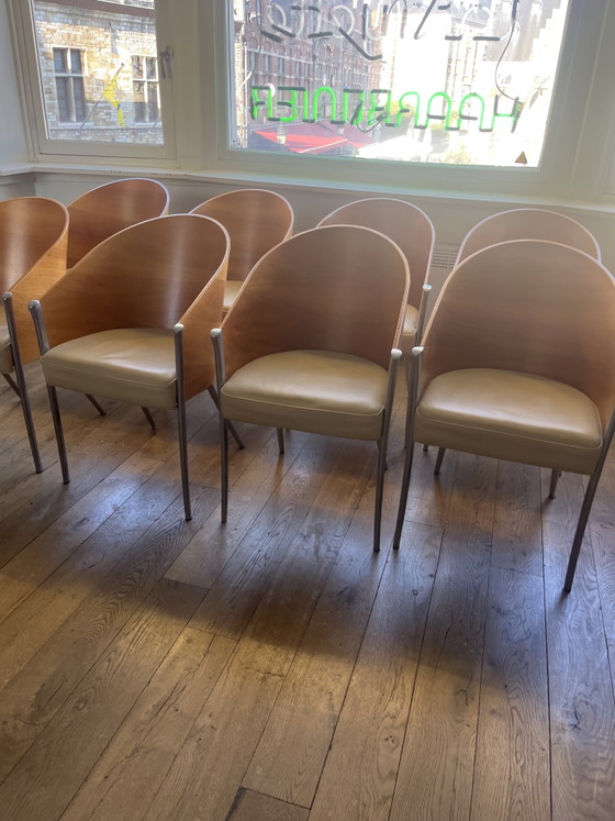 8x Aleph Starck King Costes – Philippe Starck, Sedie da pranzo, Leather, Wood (photo 4 of 9)