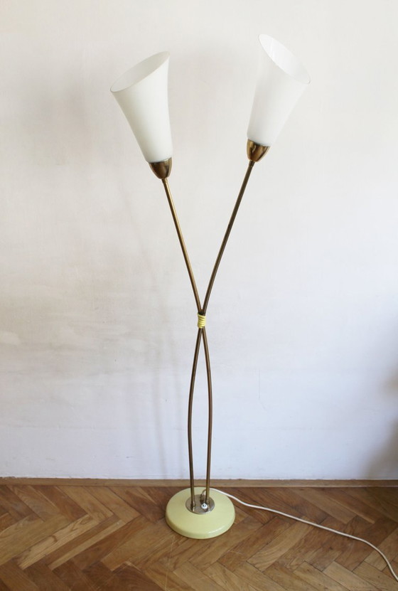 Image 1 of Organic Mid-Century Modern Floor Lamp in Brass and Milk Glass, Czechoslovakia